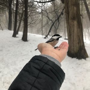 Meet your Posher, Julia